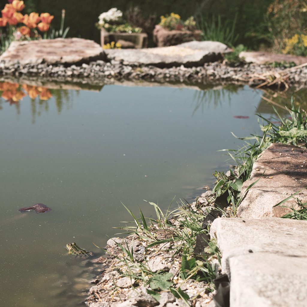 LB-Gartengestaltung-Gommel-04